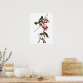 Bobolink von Audubon Poster (Küche)