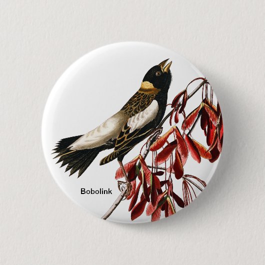Bobolink von John James Audubon, Vogelbeobachter, Button (Vorderseite)