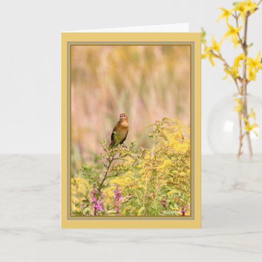 Bobolink, weiblich/nichtzucht karte (Gelbe Blume)