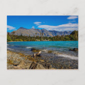 Bobs Bucht, Neuseeland Postkarte (Vorderseite)