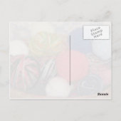 Bobs Spaß mit der Sammelpostkarte Postkarte (Rückseite)