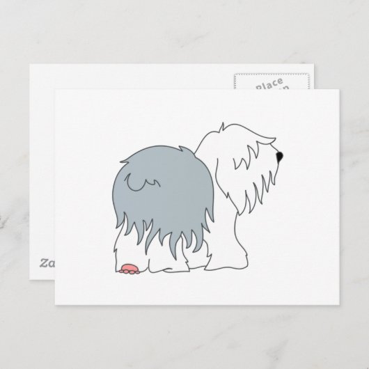 Bobtail Sheepdog Postkarte (Vorne/Hinten)