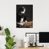 Bobtail Welpenportrait im Studio Poster (Heimbüro)