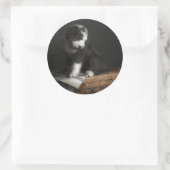Bobtail Welpenportrait im Studio Runder Aufkleber (Tasche)