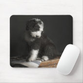 Bobtail Welpenporträt im Studio Mousepad (Mit Mouse)