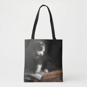 Bobtail Welpenporträt im Studio Tasche
