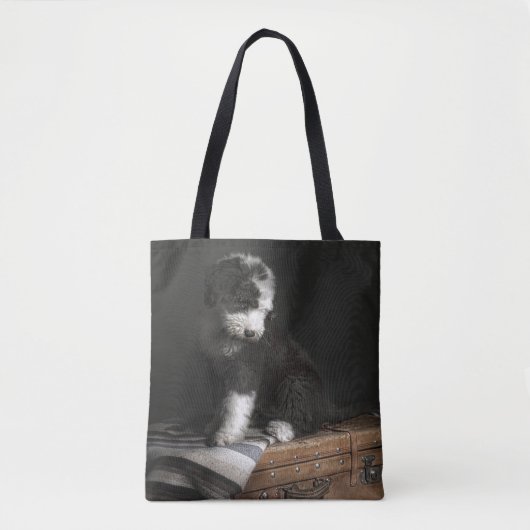Bobtail Welpenporträt im Studio Tasche (Vorderseite)