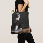 Bobtail Welpenporträt im Studio Tasche (Von Nahem)