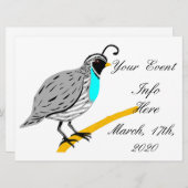 Bobwhite Blue-throated Quail Thunder_Cove (Vorne/Hinten)