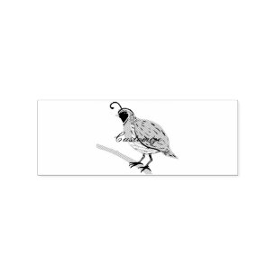Bobwhite Blue-throated Quail Thunder_Cove Gummistempel