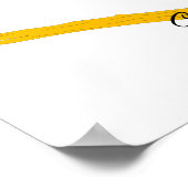 Bobwhite Blue-throated Quail Thunder_Cove Poster (Ecke)