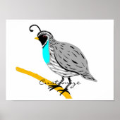 Bobwhite Blue-throated Quail Thunder_Cove Poster (Vorne)