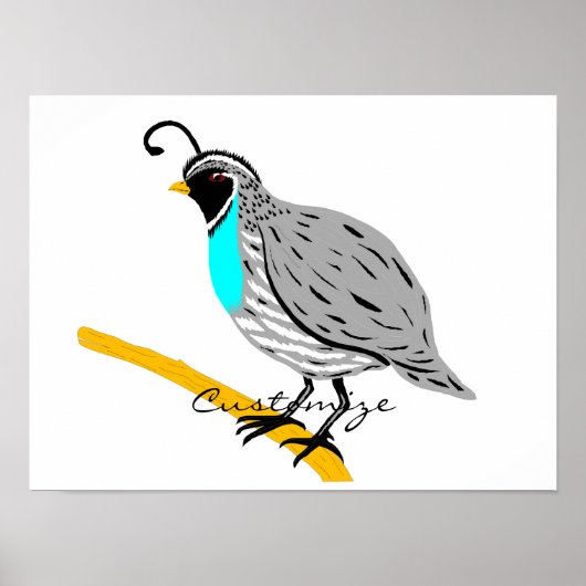 Bobwhite Blue-throated Quail Thunder_Cove Poster (Vorne)