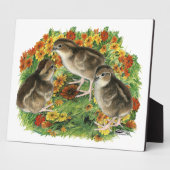 Bobwhite Garden Chicks Fotoplatte (Seite)