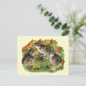 Bobwhite Garden Chicks Postkarte (Stehend Vorderseite)