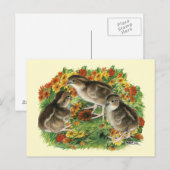 Bobwhite Garden Chicks Postkarte (Vorne/Hinten)