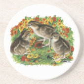 Bobwhite Garden Chicks Sandstein Untersetzer (Vorne)