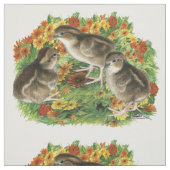 Bobwhite Garden Chicks Stoff (Muster)