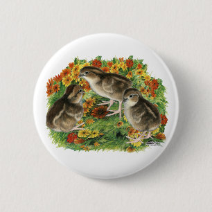 Bobwhite-Gartenküken Button