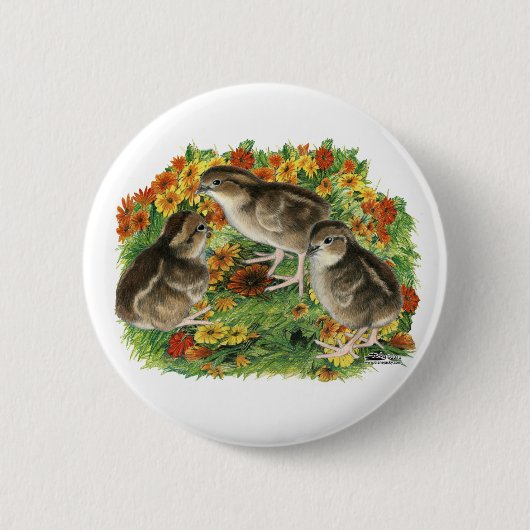 Bobwhite-Gartenküken Button (Vorderseite)