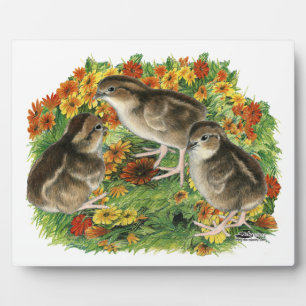 Bobwhite-Gartenküken Fotoplatte