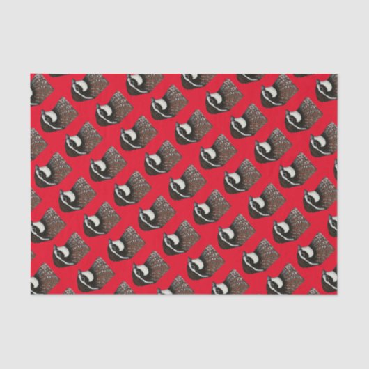 Bobwhite Quad Head Seidenpapier (Vorderseite)