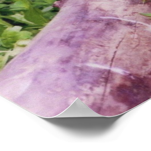 Bobwhite Quai Poster (Ecke)