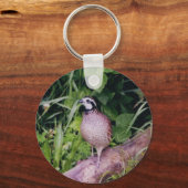 Bobwhite Quai Schlüsselanhänger (Vorderseite)