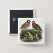 Bobwhite Quail Button (Vorne & Hinten)