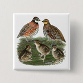 Bobwhite Quail Button (Vorderseite)