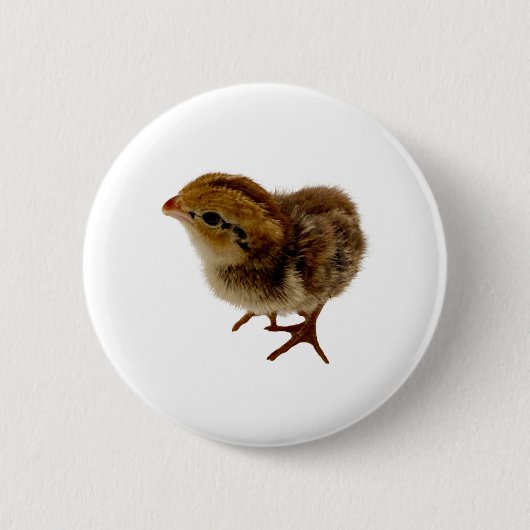 Bobwhite Quail Chick Button (Vorderseite)