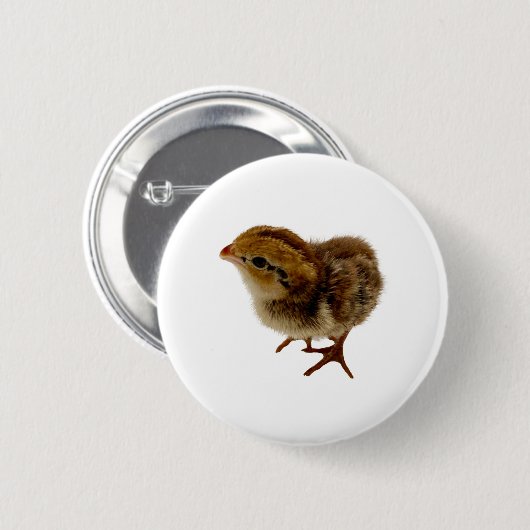 Bobwhite Quail Chick Button (Vorne & Hinten)