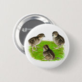 Bobwhite Quail Chicks Button (Vorne & Hinten)