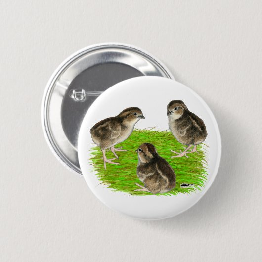 Bobwhite Quail Chicks Button (Vorne & Hinten)