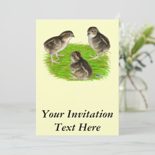Bobwhite Quail Chicks Einladung (Stehend Vorderseite)