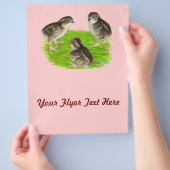 Bobwhite Quail Chicks Flyer (Hand)