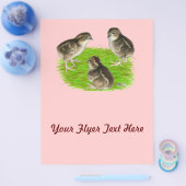 Bobwhite Quail Chicks Flyer (Einzeln)