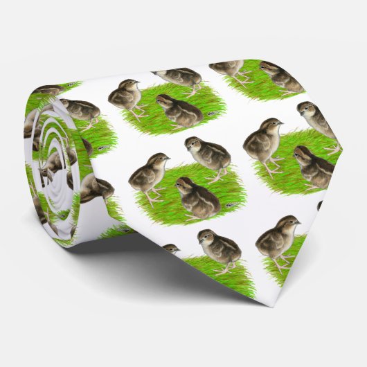 Bobwhite Quail Chicks Krawatte (Gerollt)