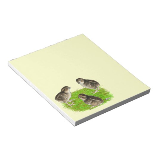 Bobwhite Quail Chicks Notizblock (angewinkelt)