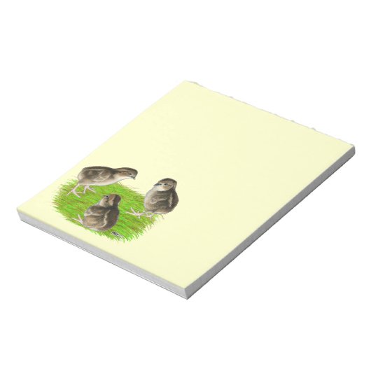 Bobwhite Quail Chicks Notizblock (Rotiert)