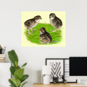 Bobwhite Quail Chicks Poster (Heimbüro)