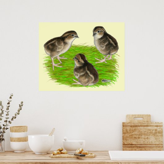 Bobwhite Quail Chicks Poster (Küche)