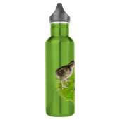 Bobwhite Quail Chicks Trinkflasche (Links)