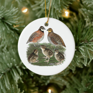 Bobwhite Quail Family Keramik Ornament