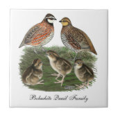 Bobwhite Quail Fliese (Vorderseite)