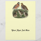 Bobwhite Quail Flyer (Vorne)