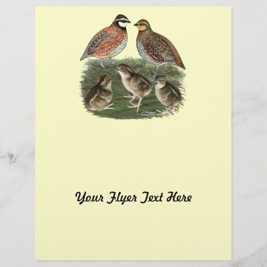 Bobwhite Quail Flyer (Vorne)