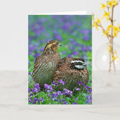 Bobwhite Quail Fotografie Karte (Gelbe Blume)
