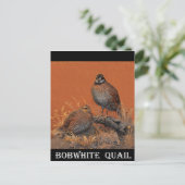 Bobwhite Quail (Georgia, Missouri und Tennessee) Postkarte (Stehend Vorderseite)