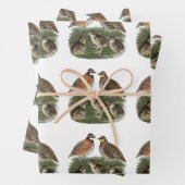 Bobwhite Quail Geschenkpapier Set (Beispiel)